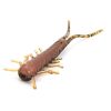 Lunker City HellGies 3" 7,5 cm - Brown Bug