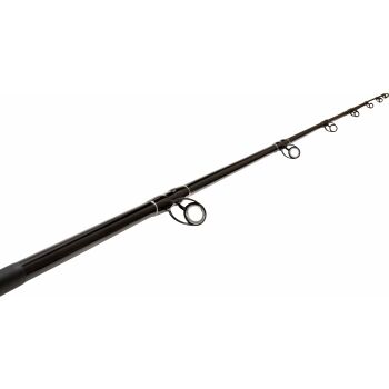 Black Cat Cat Buster Spin 2,70m 50g - 150g Wallerrute