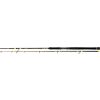 Black Cat Passion Pro DX Boat Spin 2,40 m 50 - 190 g